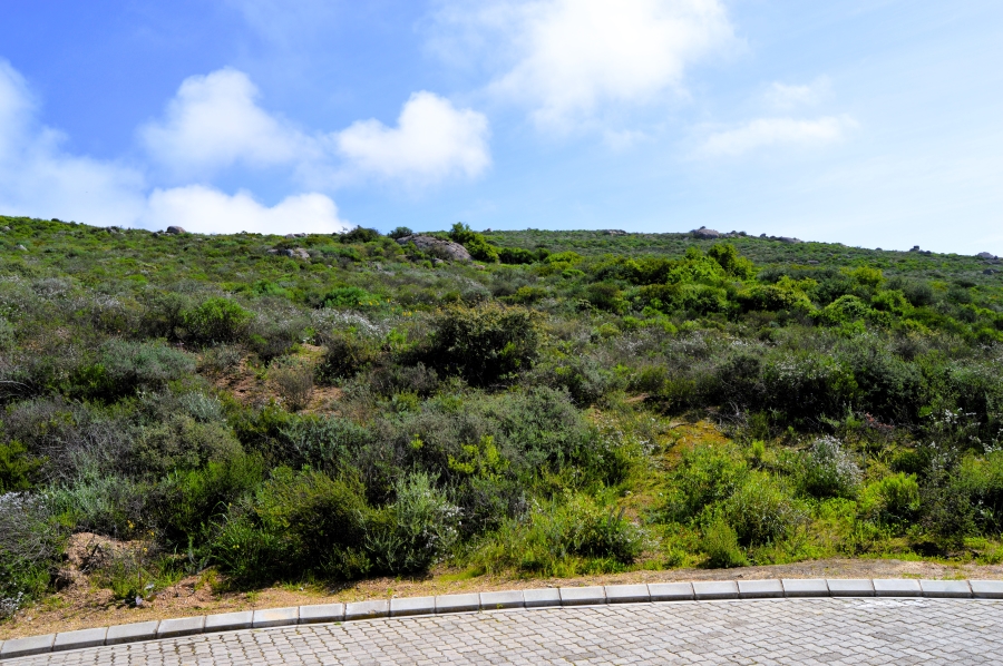 0 Bedroom Property for Sale in St Helena Views Western Cape
